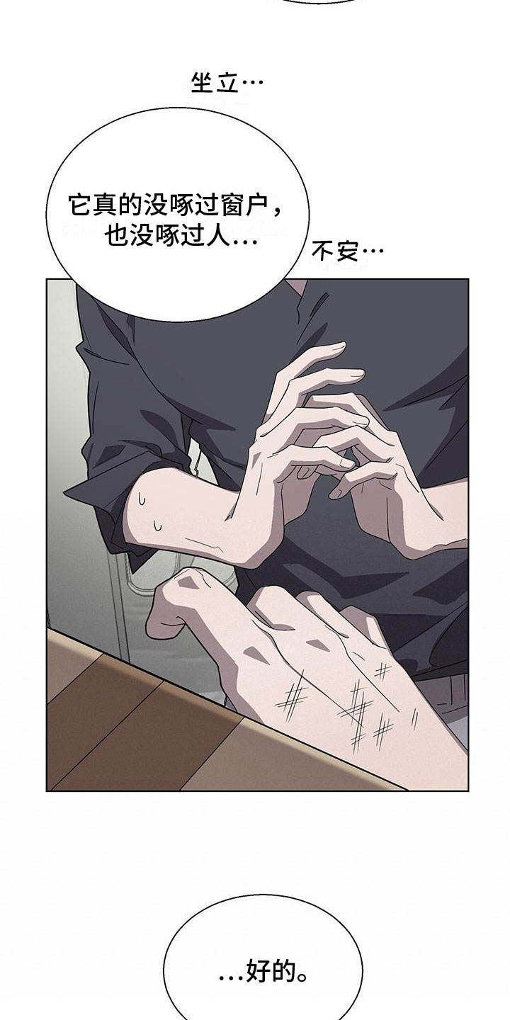 第3章：新邻居3