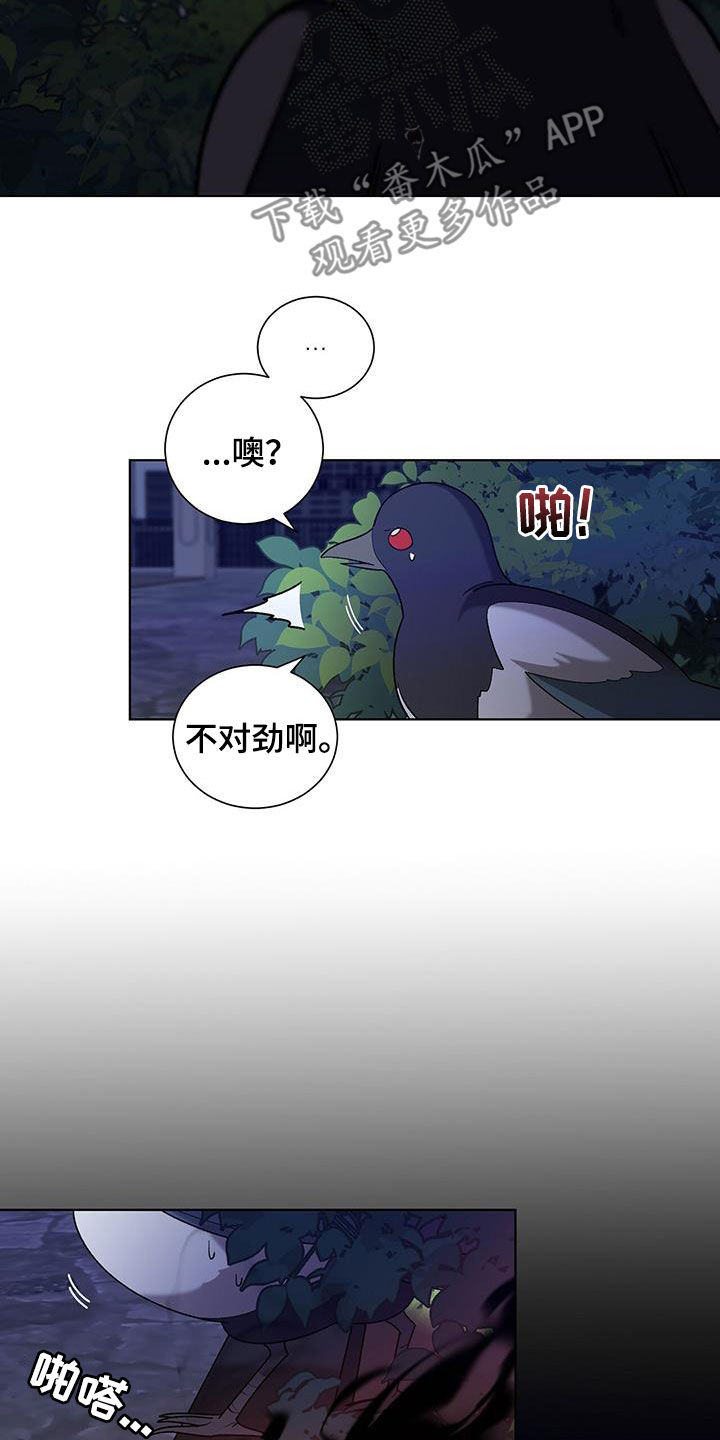 第24章：不会有问题的2