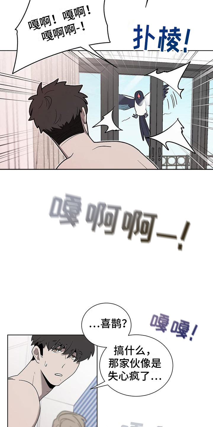 第1章：喜鹊救场0