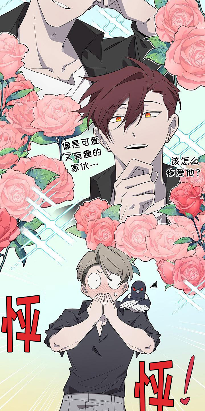 第3章：新邻居2