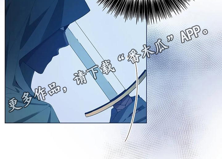 第9章：袭击0
