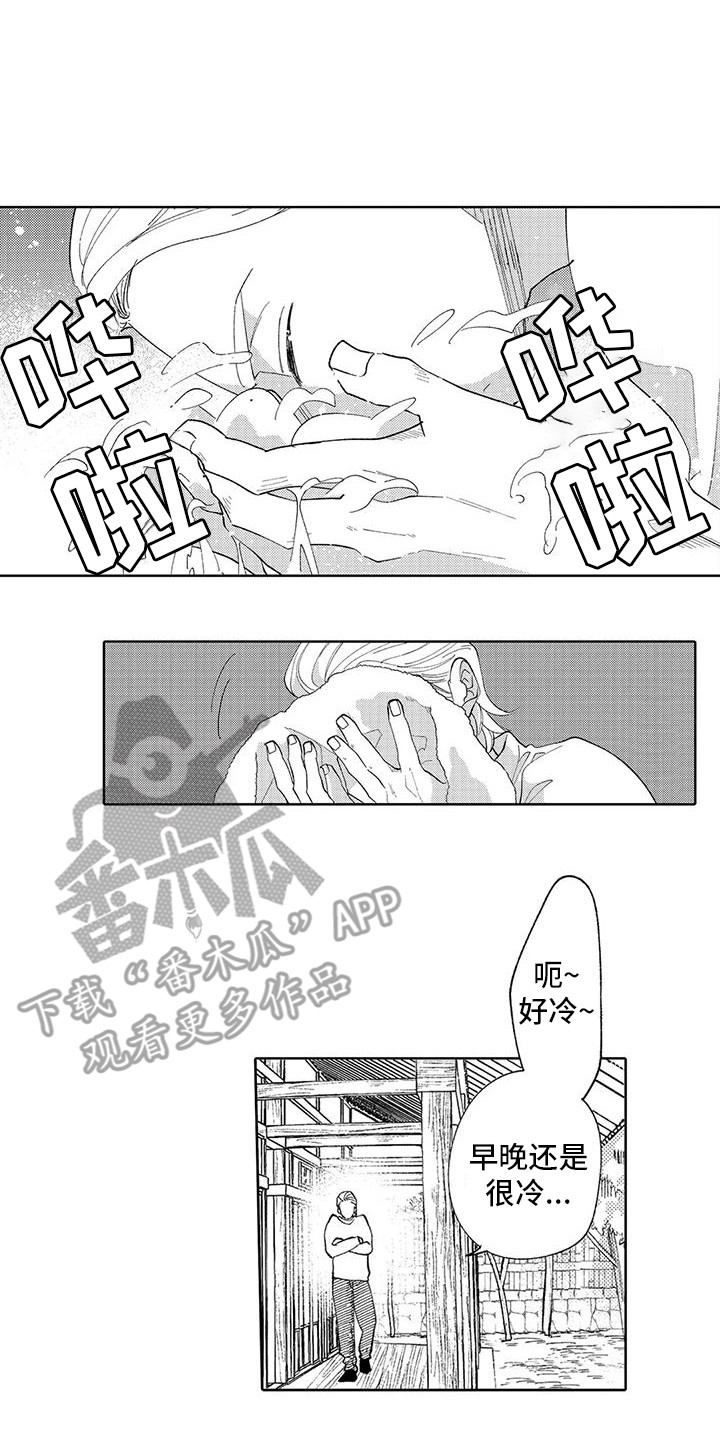 第13章：搞不懂0