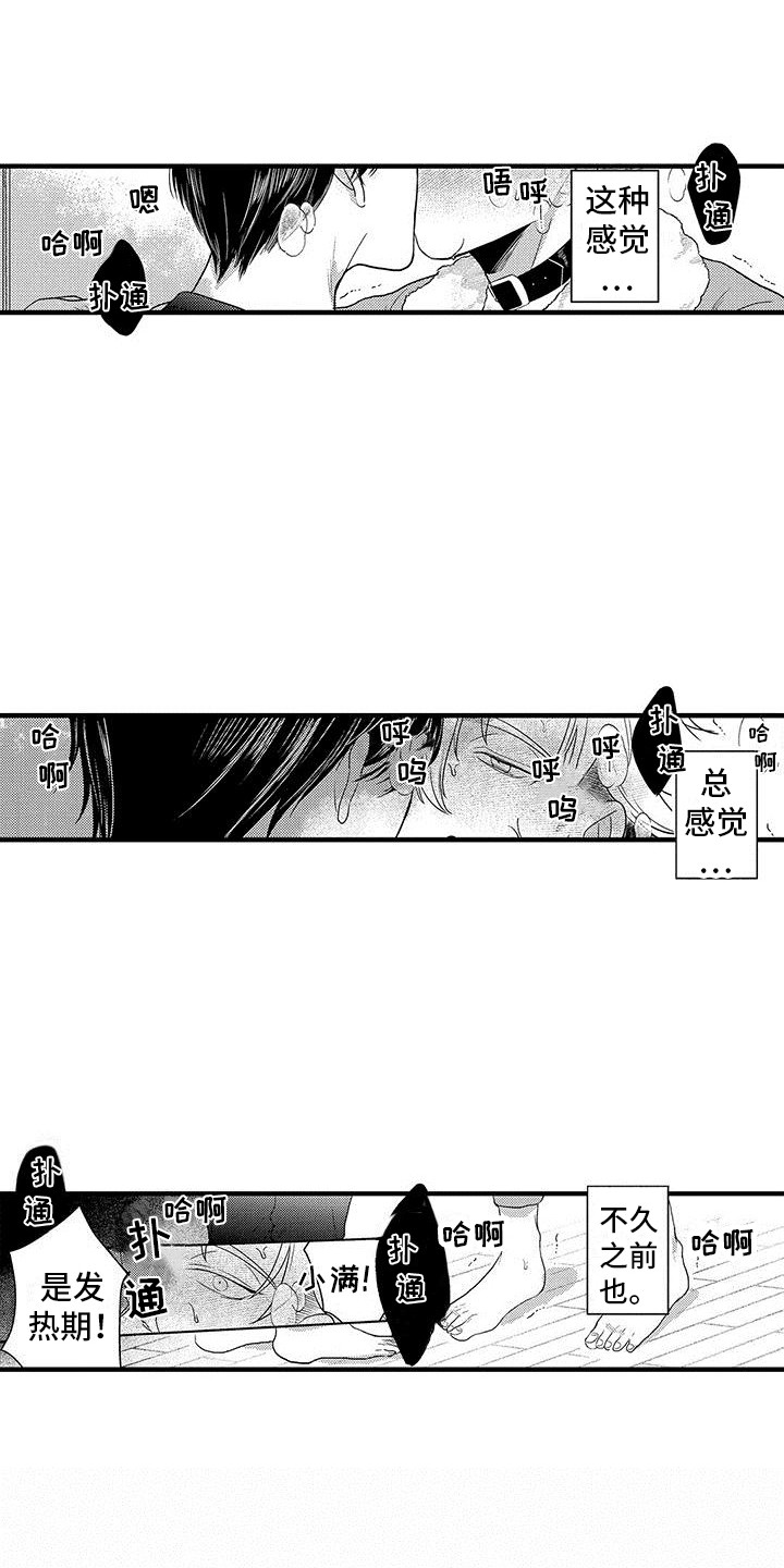 第28章：实验继续4
