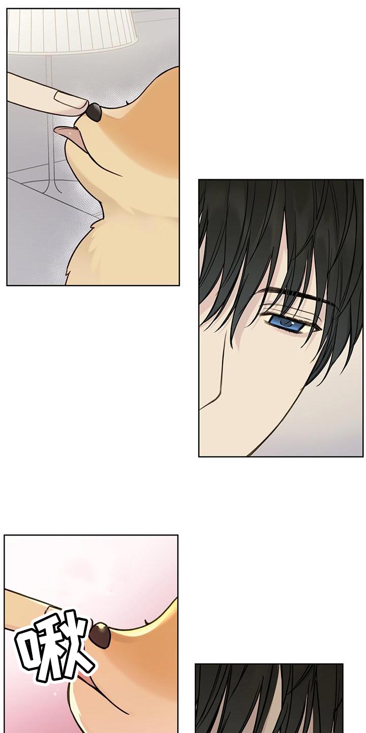 第17章：我让你滚蛋2