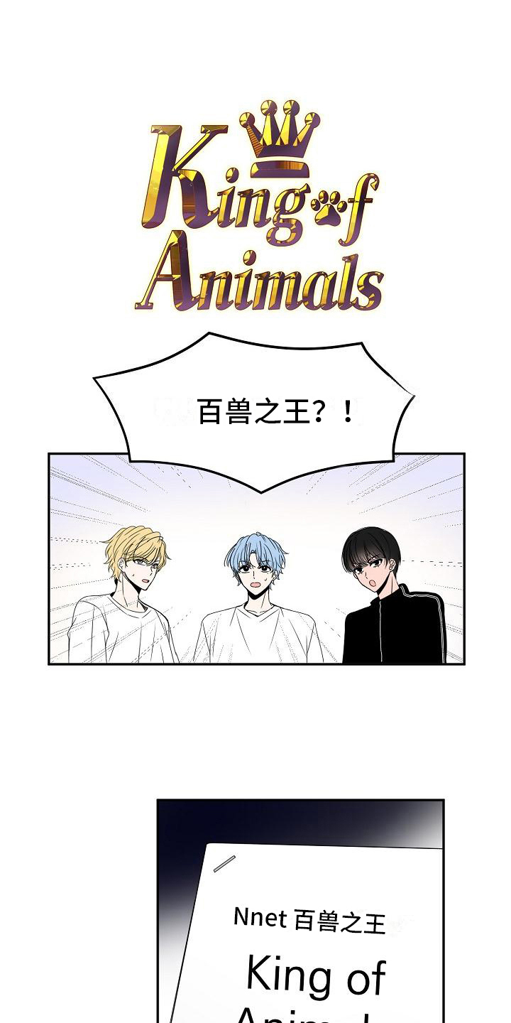 第15章：两个选项3