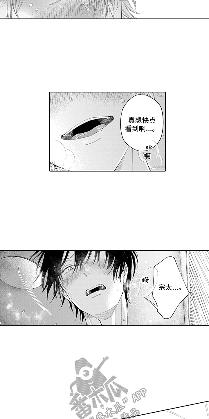 第26章：绝对不会忘【完结】1