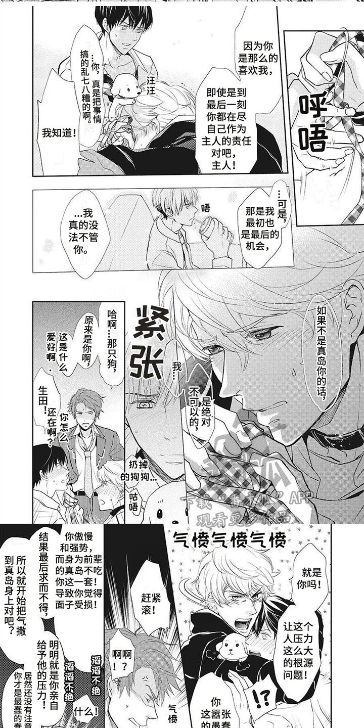 第11章：回巢本能1