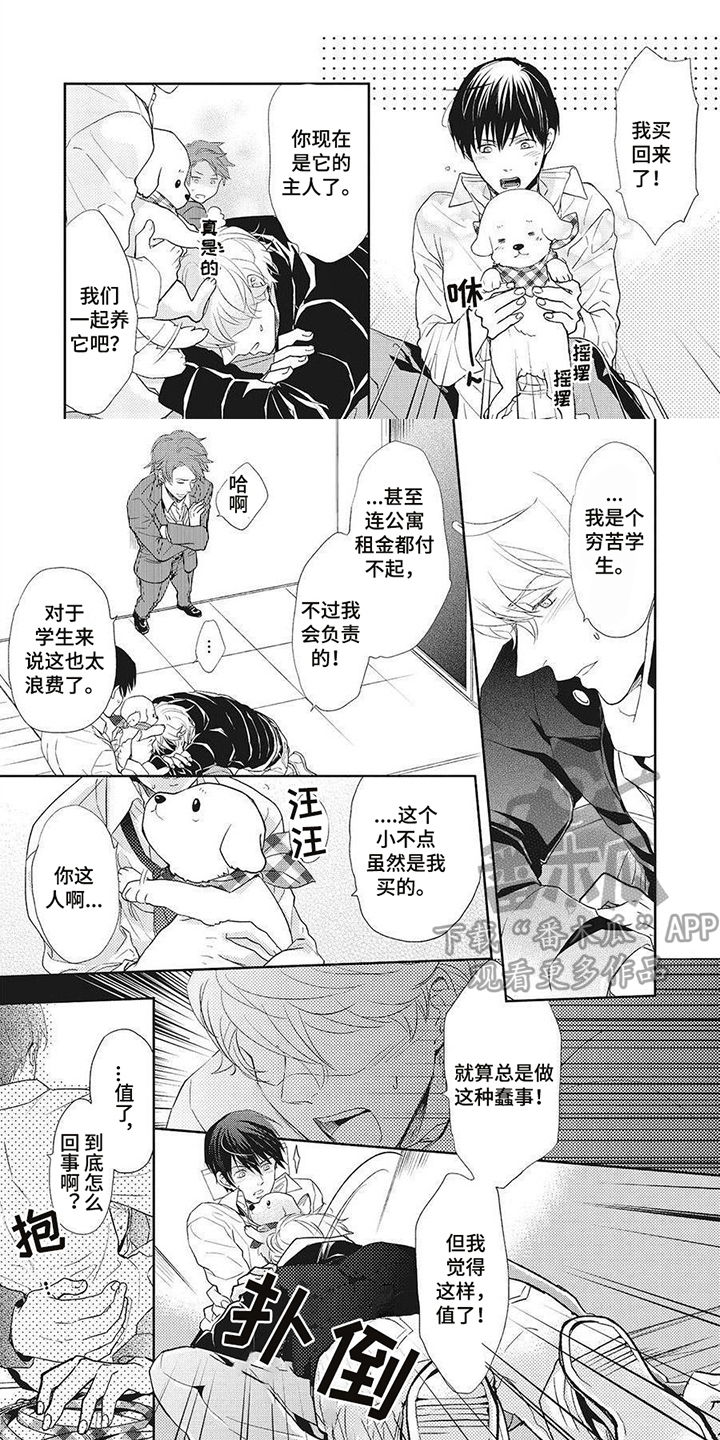 第11章：回巢本能0