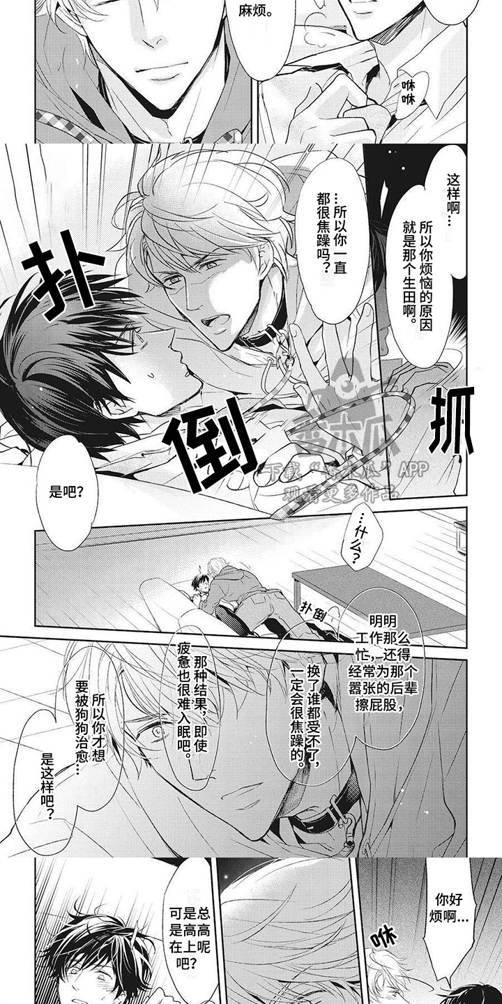 第6章：好好玩耍2