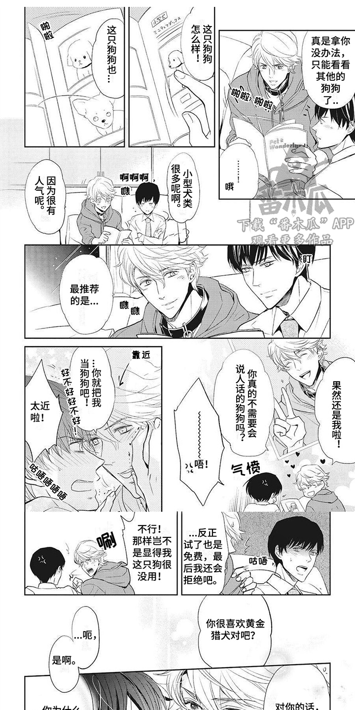 第6章：好好玩耍0