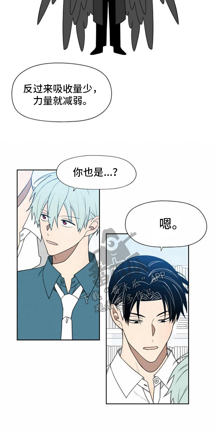 第20章：喜欢的东西3