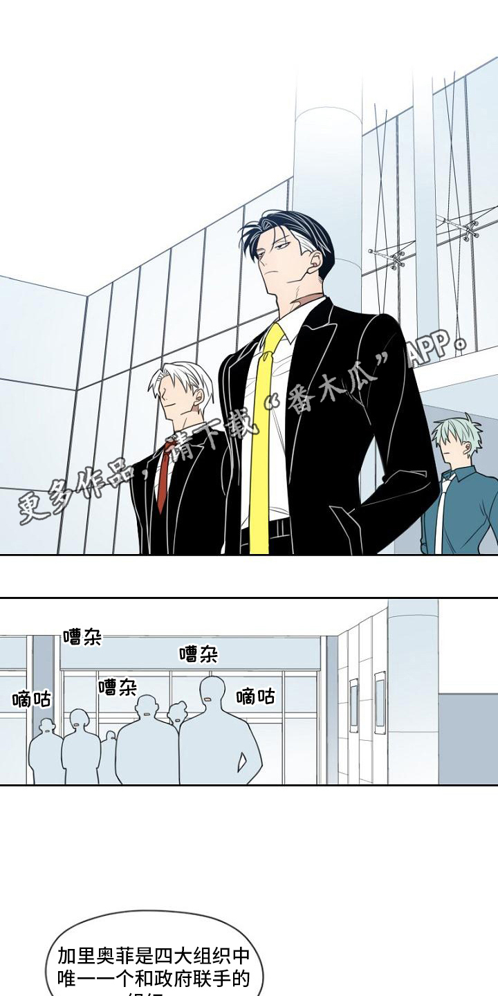 第17章：免费员工0