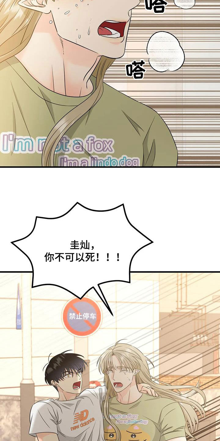 第17章：善良的妖精4