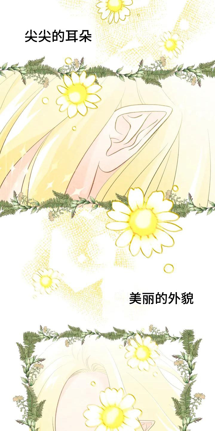 第1章：童话书2