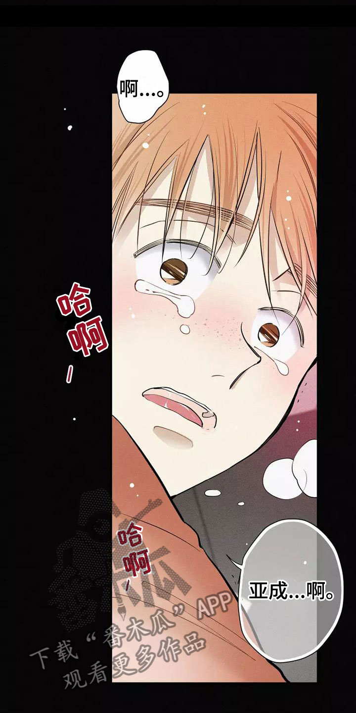 第19章：不知所措4