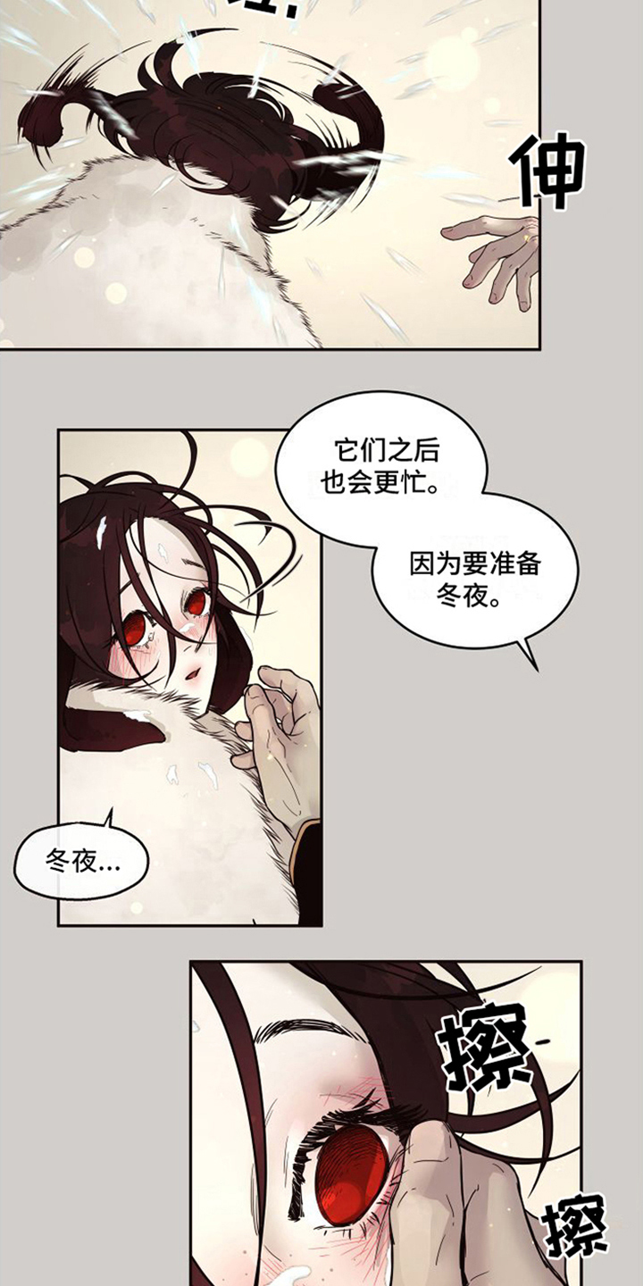 第4章：选择权2