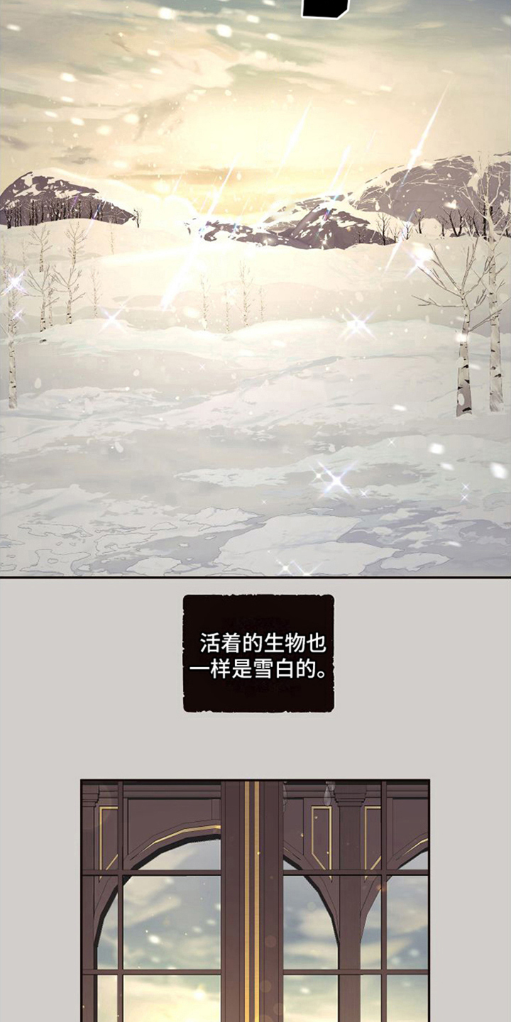 第1章：雪国2