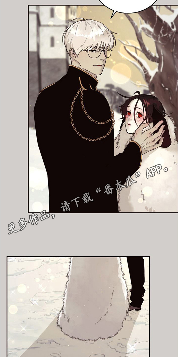 第4章：选择权4