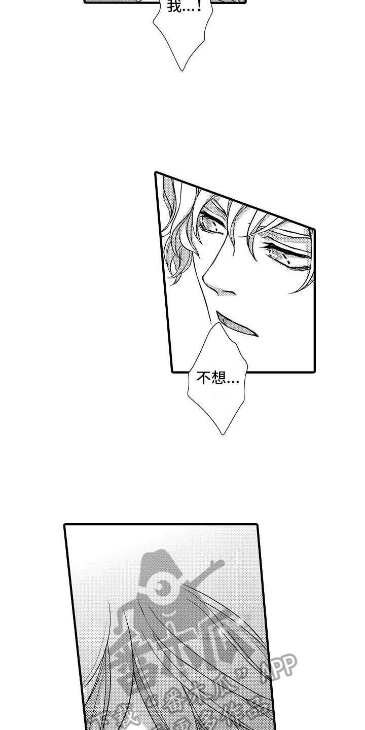 第14章：心动了2