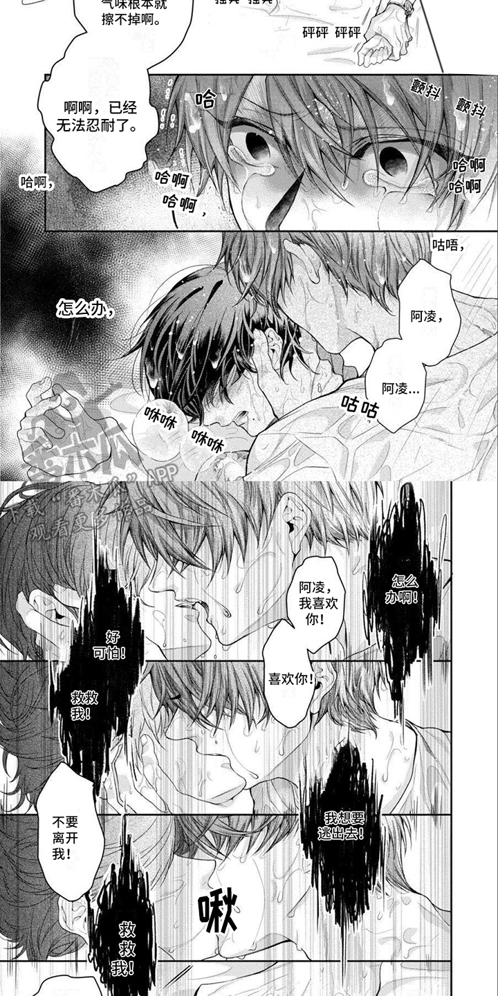 第12章：放不下3