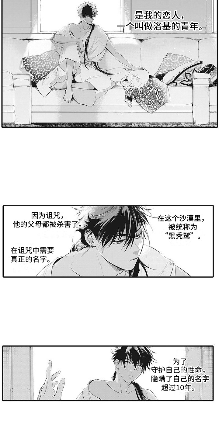 第1章：黑秃鹫3