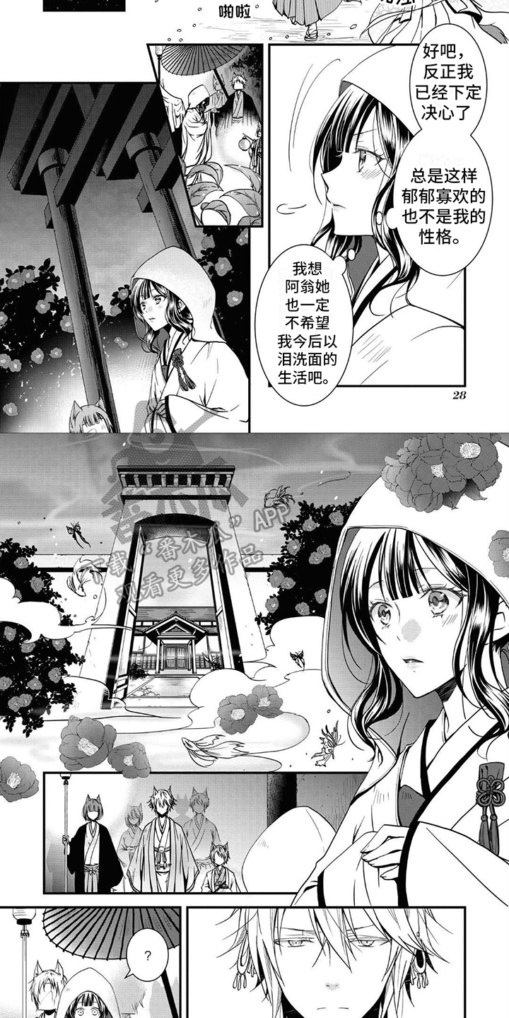 第4章：特殊情况1