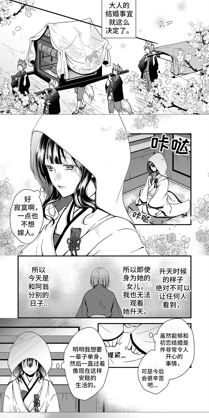 第3章：嫁人4