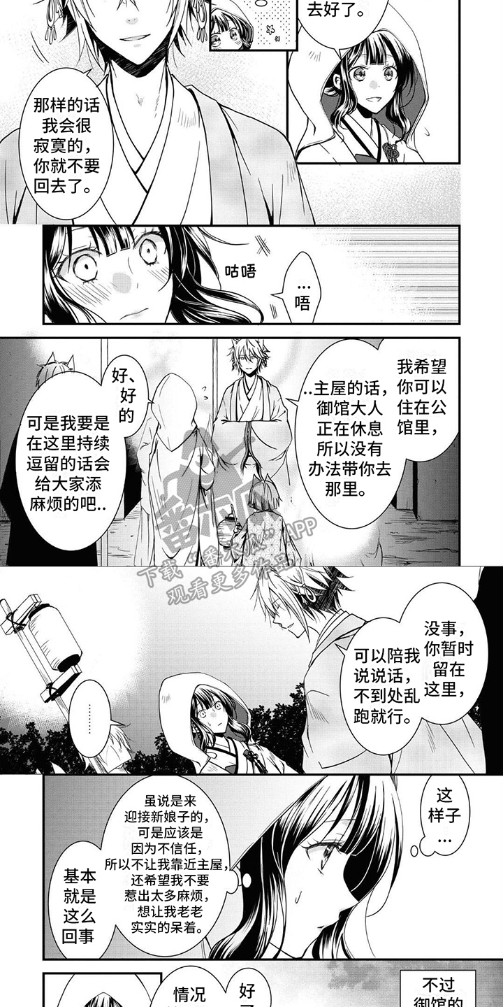 第4章：特殊情况3