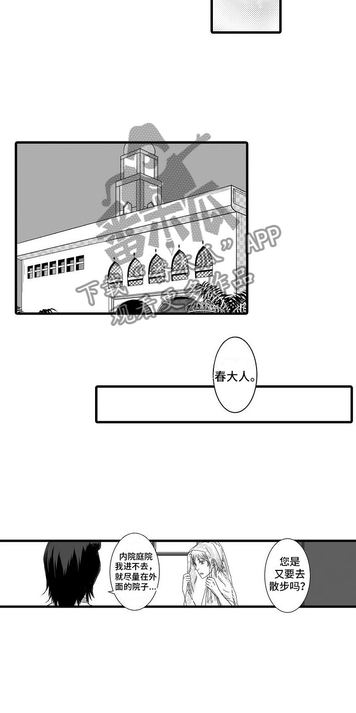 第6章： 祈求3