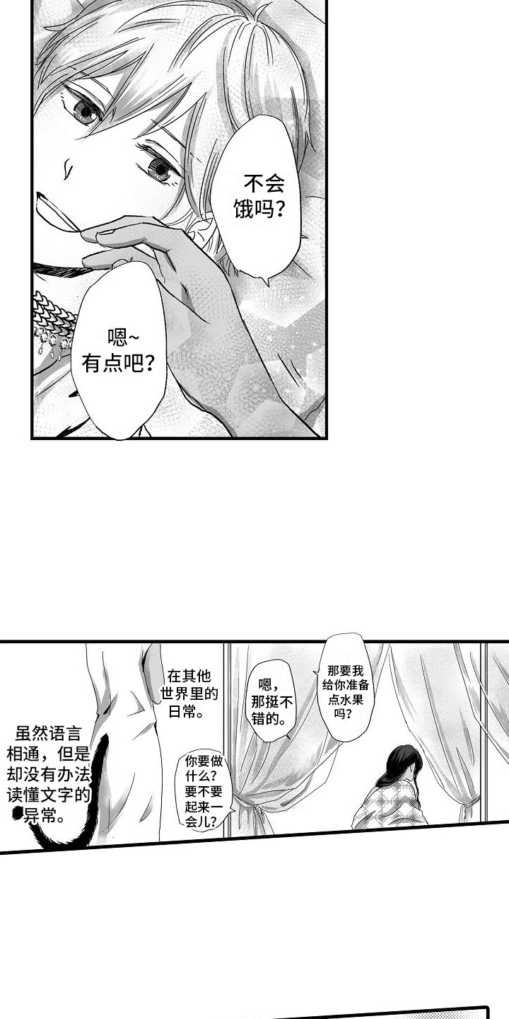 第2章：了解世界4