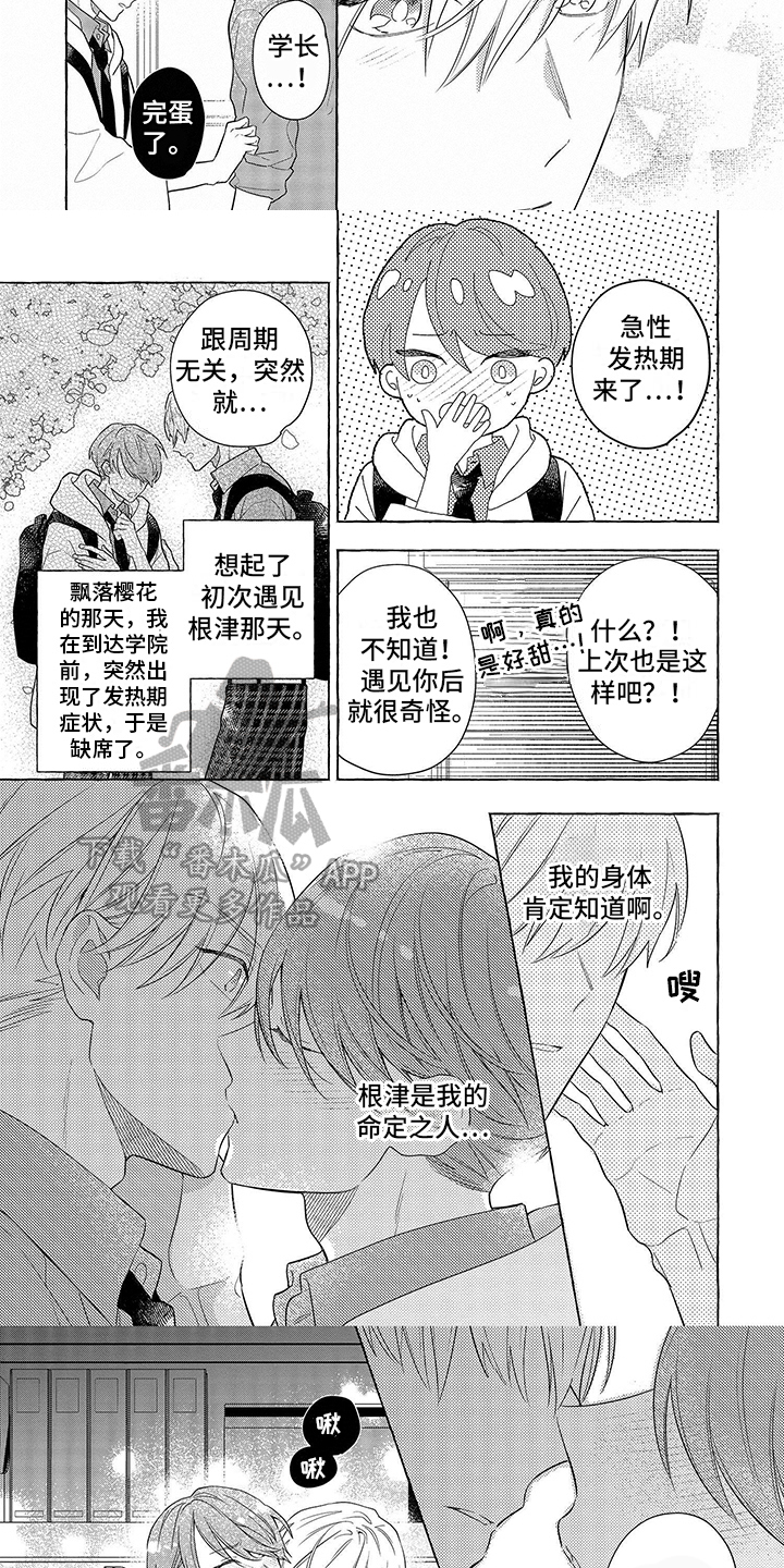 第16章：表达2