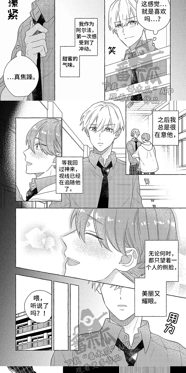 第11章：不同4
