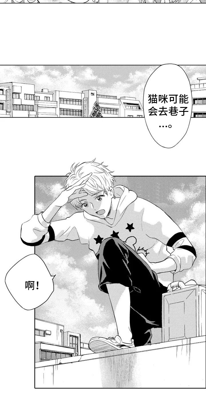 第2章： 寻找猫咪3