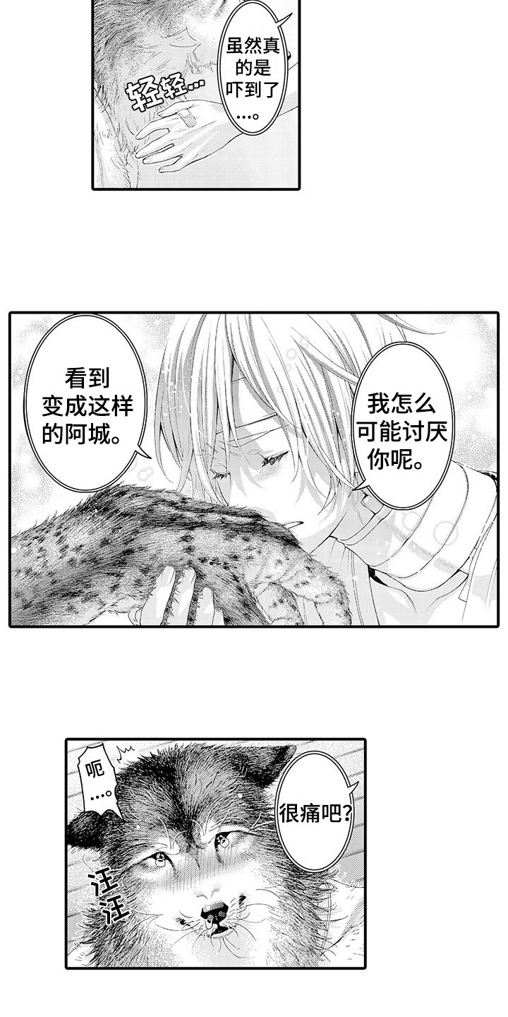 第30章：并不讨厌4