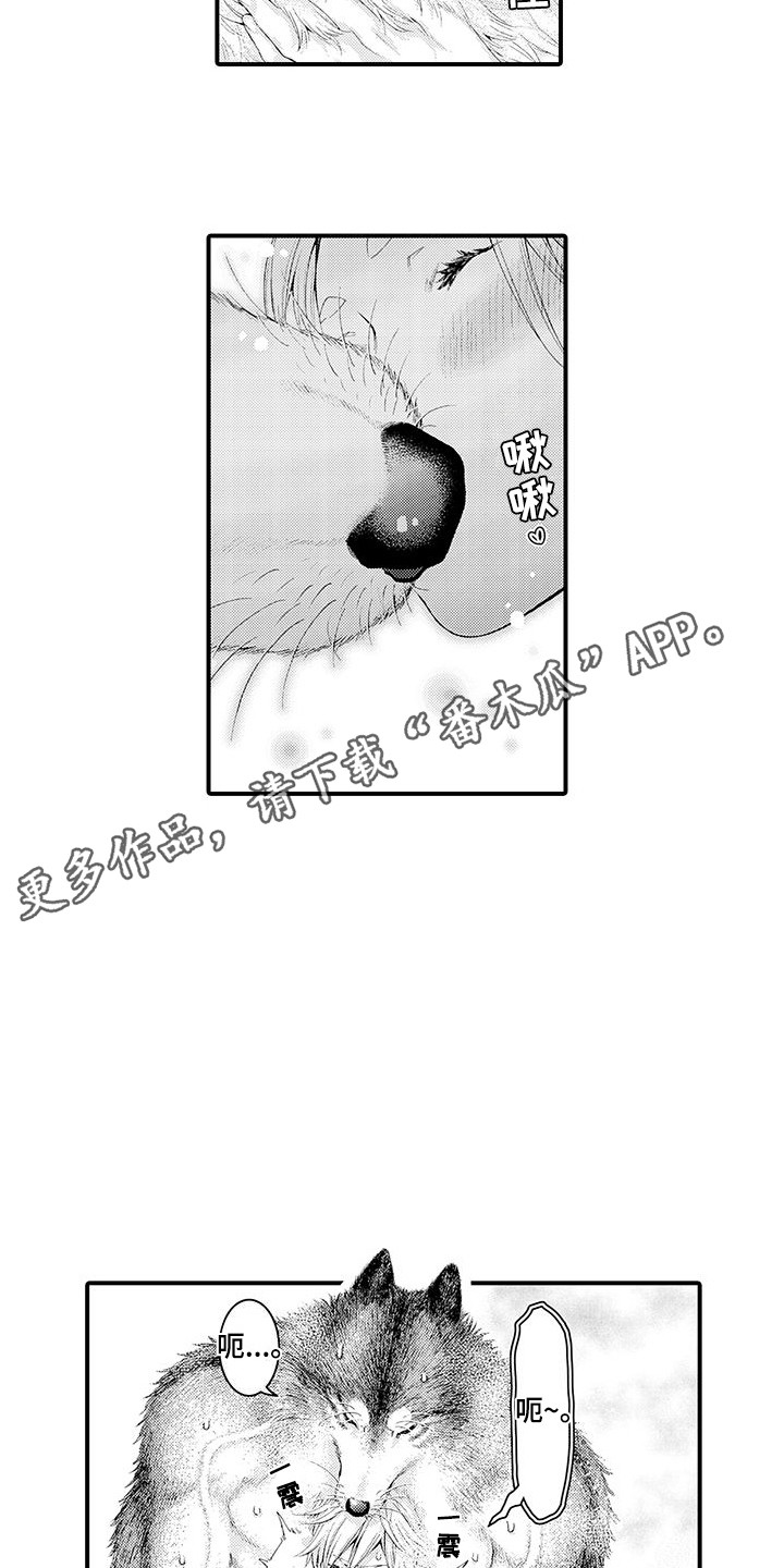 第31章：不是梦（完结）3