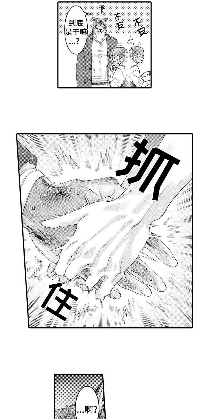 第2章：比比划划1