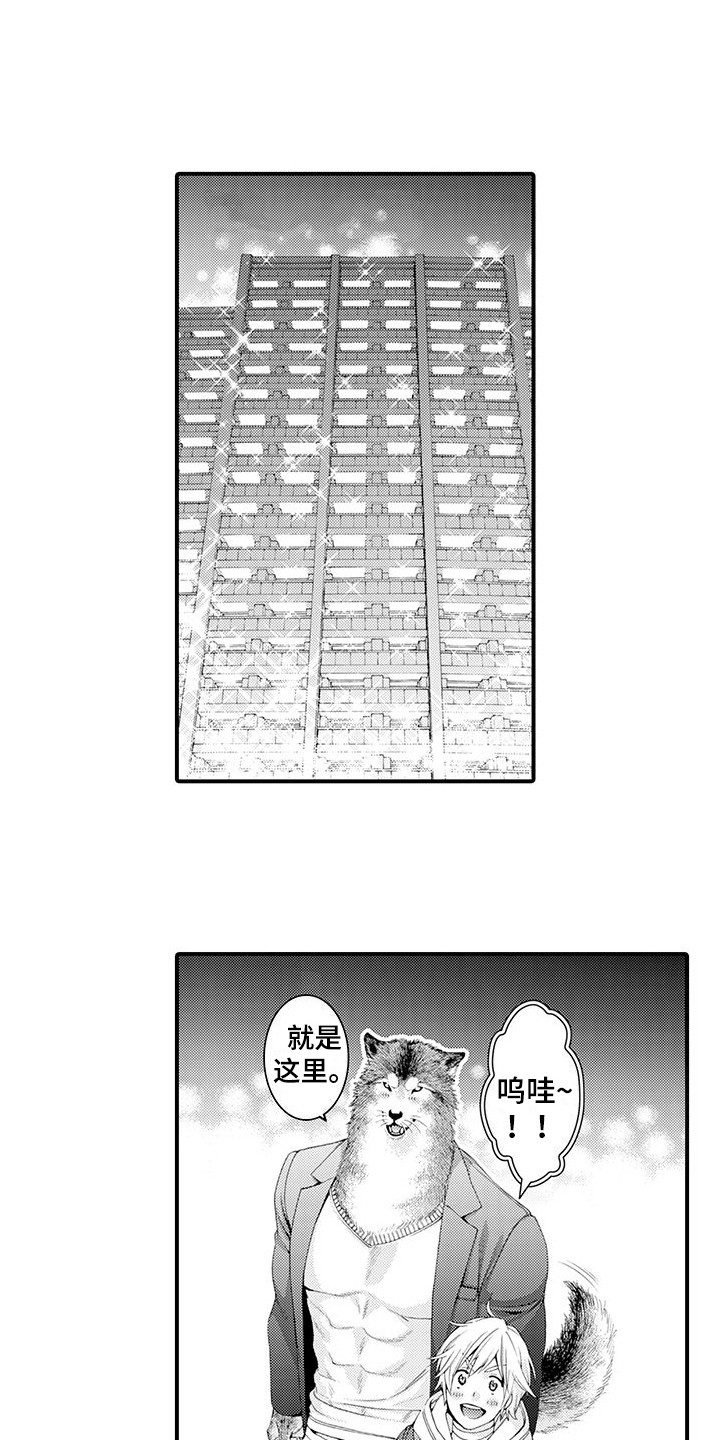 第18章：宽敞的房间0