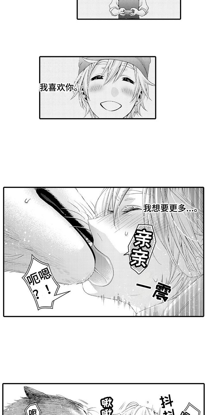 第17章：太诚实了4