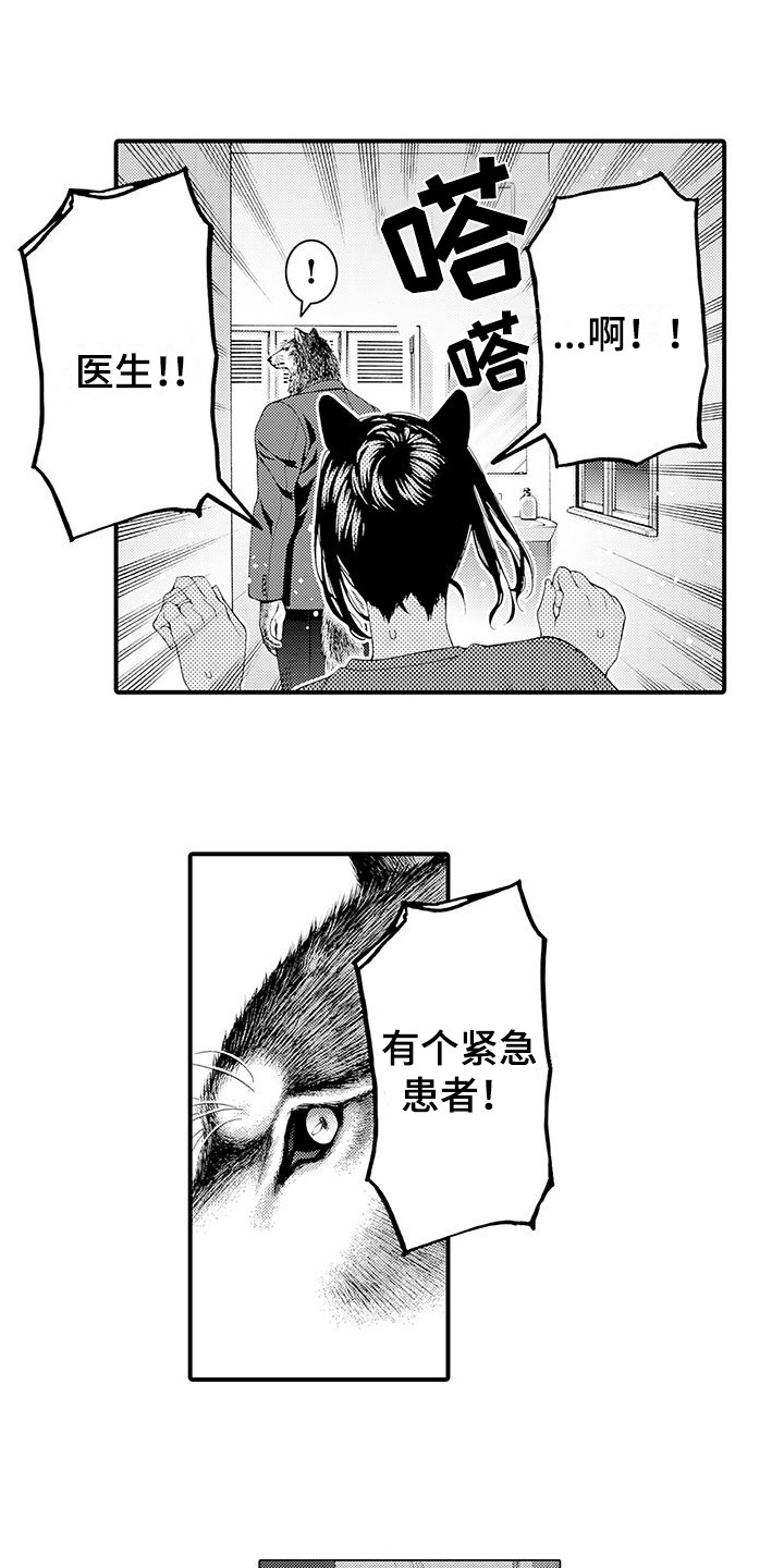 第8章：处理伤口0