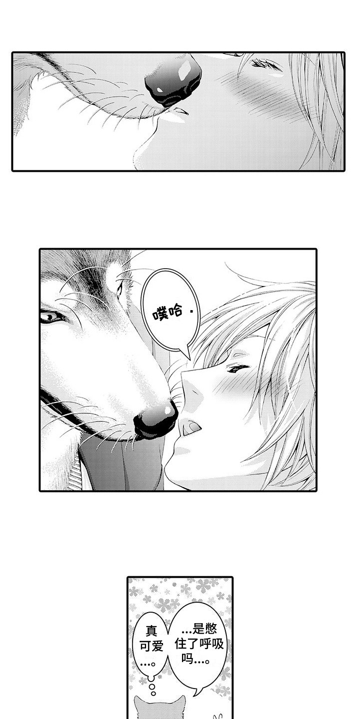 第17章：太诚实了0