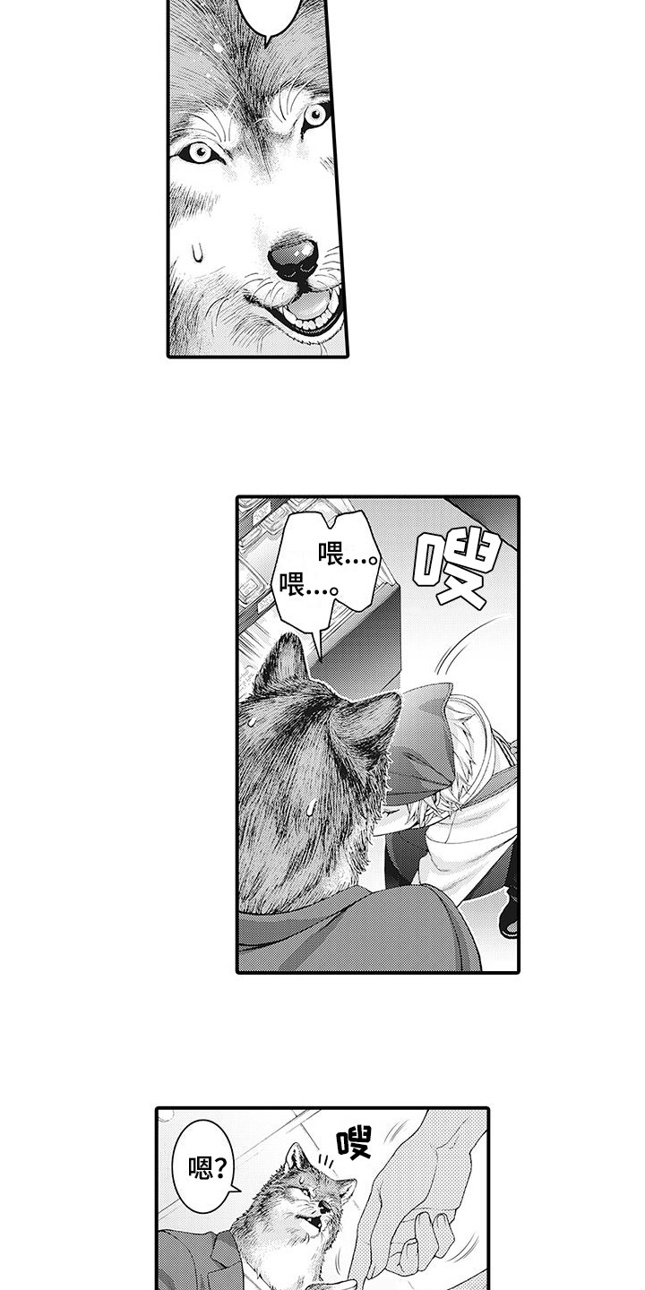 第2章：比比划划2