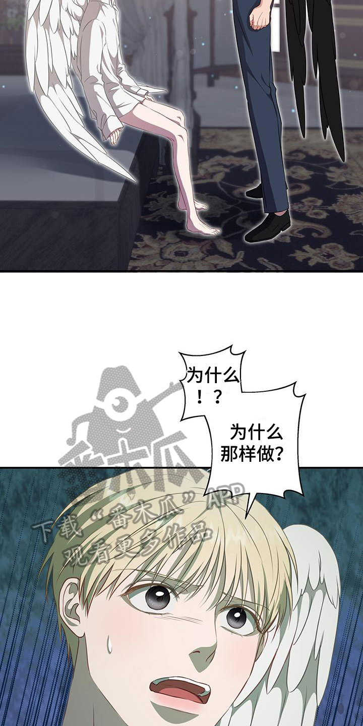 第31章：原计划2