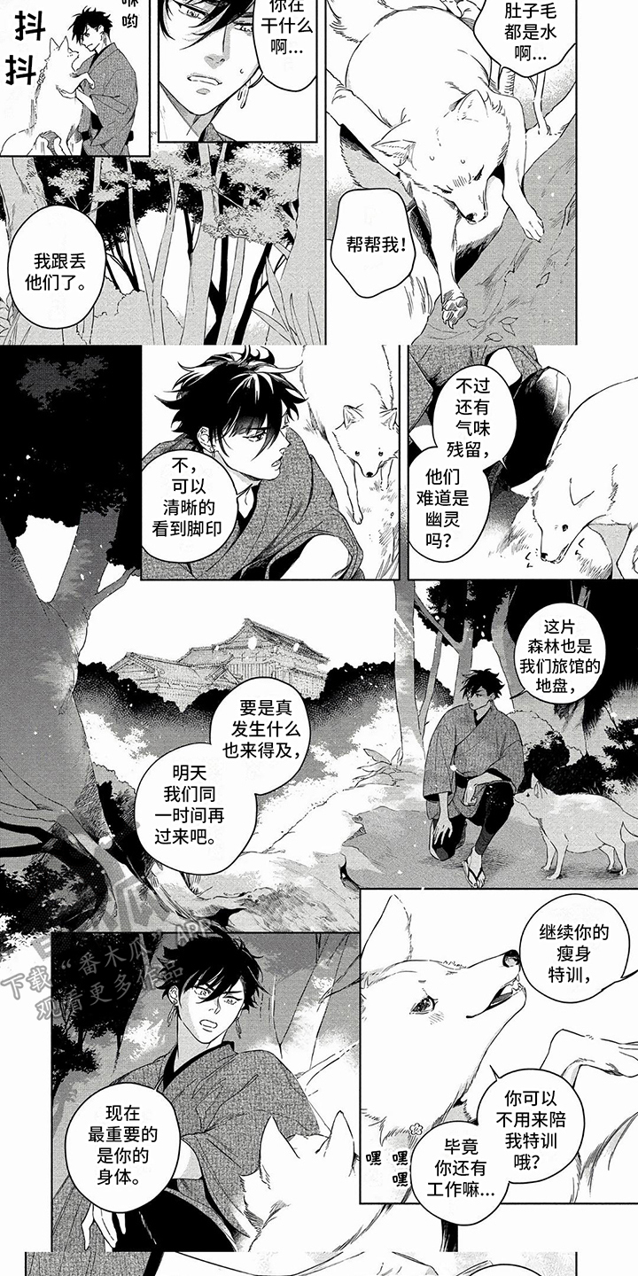 第29章：长胖了4