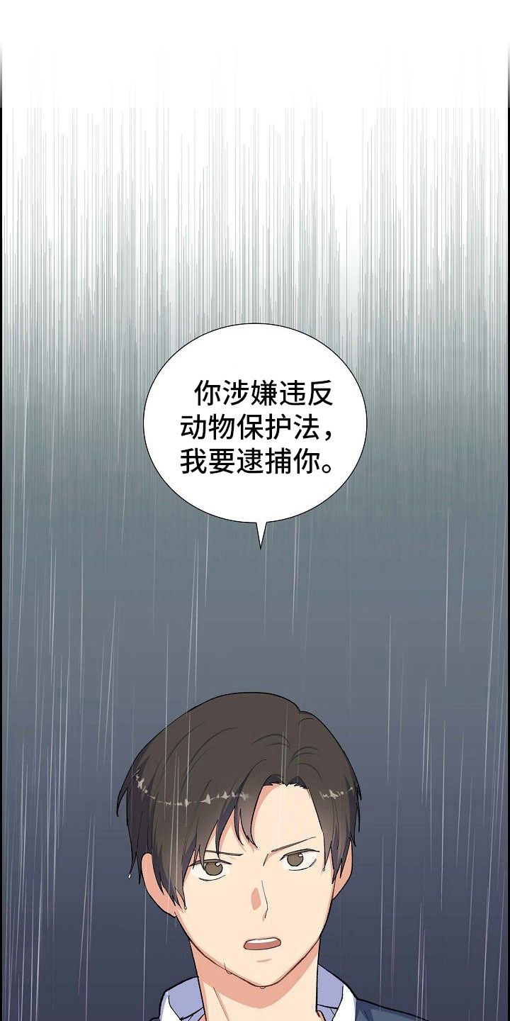 第28章：追击3