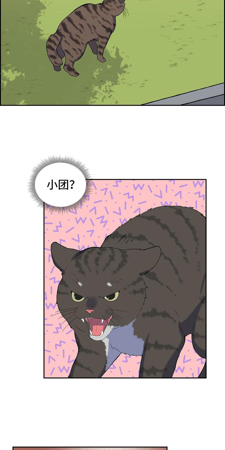 第7章：猫的纷争3