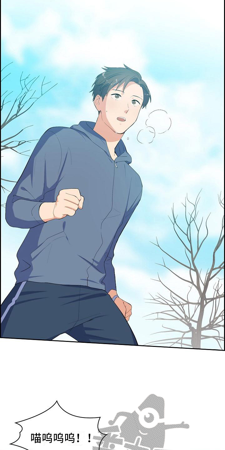 第7章：猫的纷争1