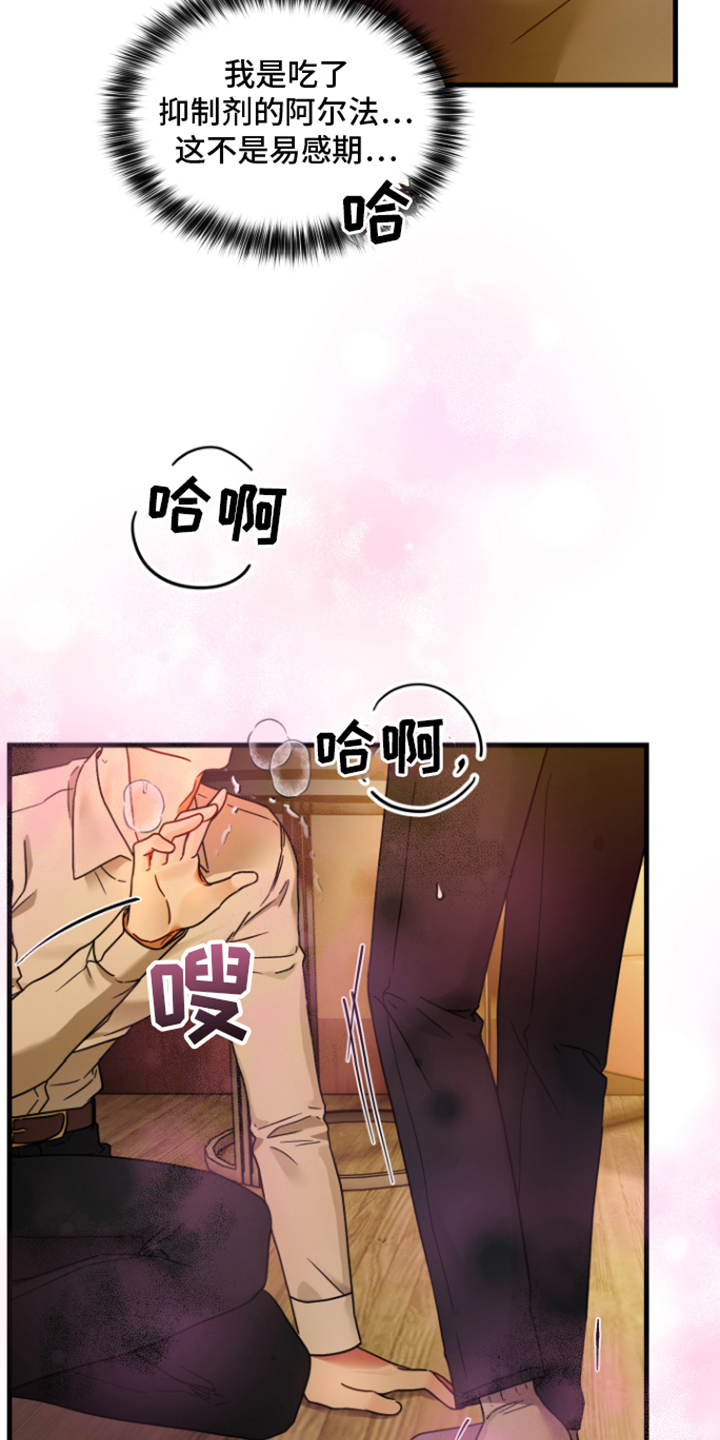 第1章：贝塔男友1