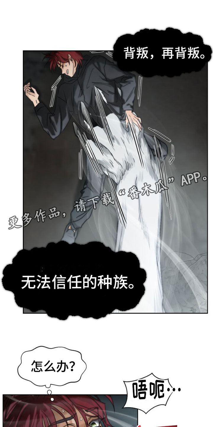 第4章：立下誓约0