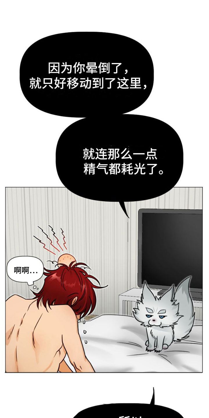 第5章：违背0