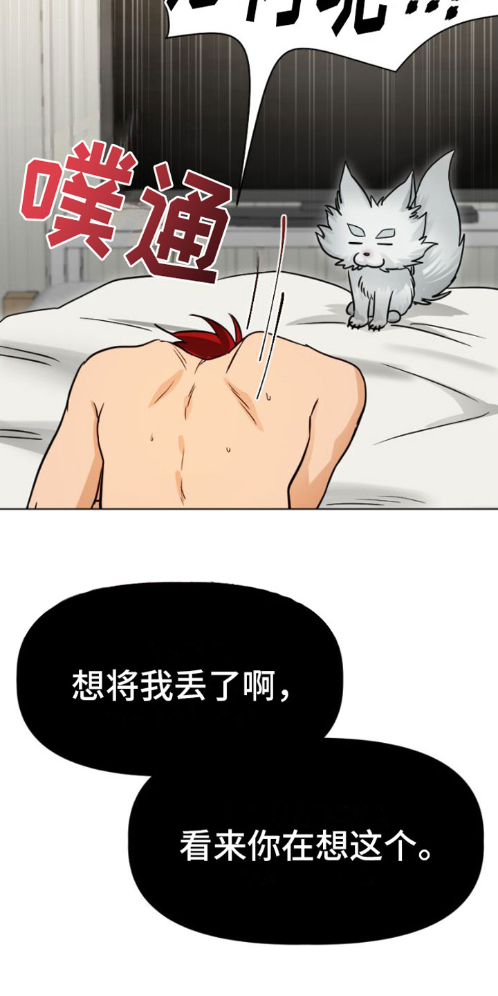 第5章：违背4
